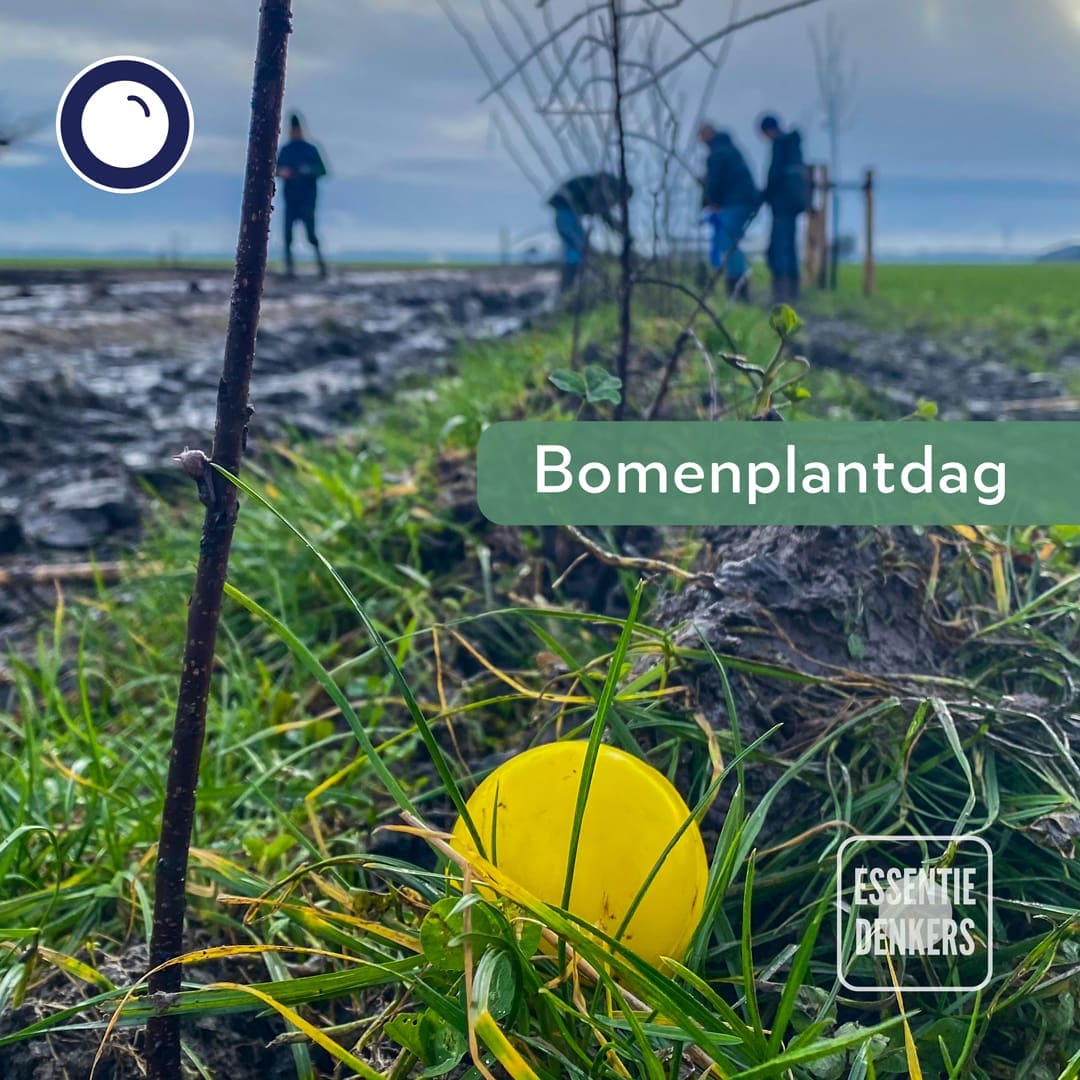 Afbeelding van de bomenplantdag op de biodiverse boerderij.