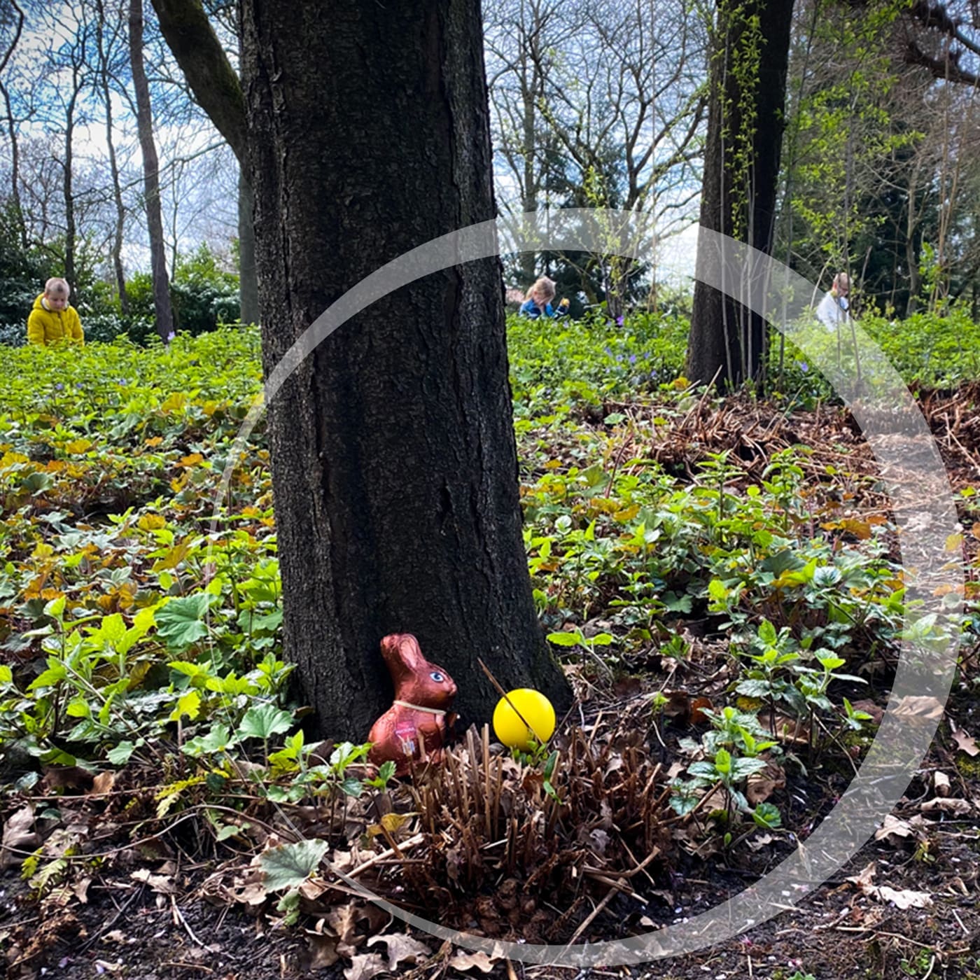 Featured image for “Paaseieren”