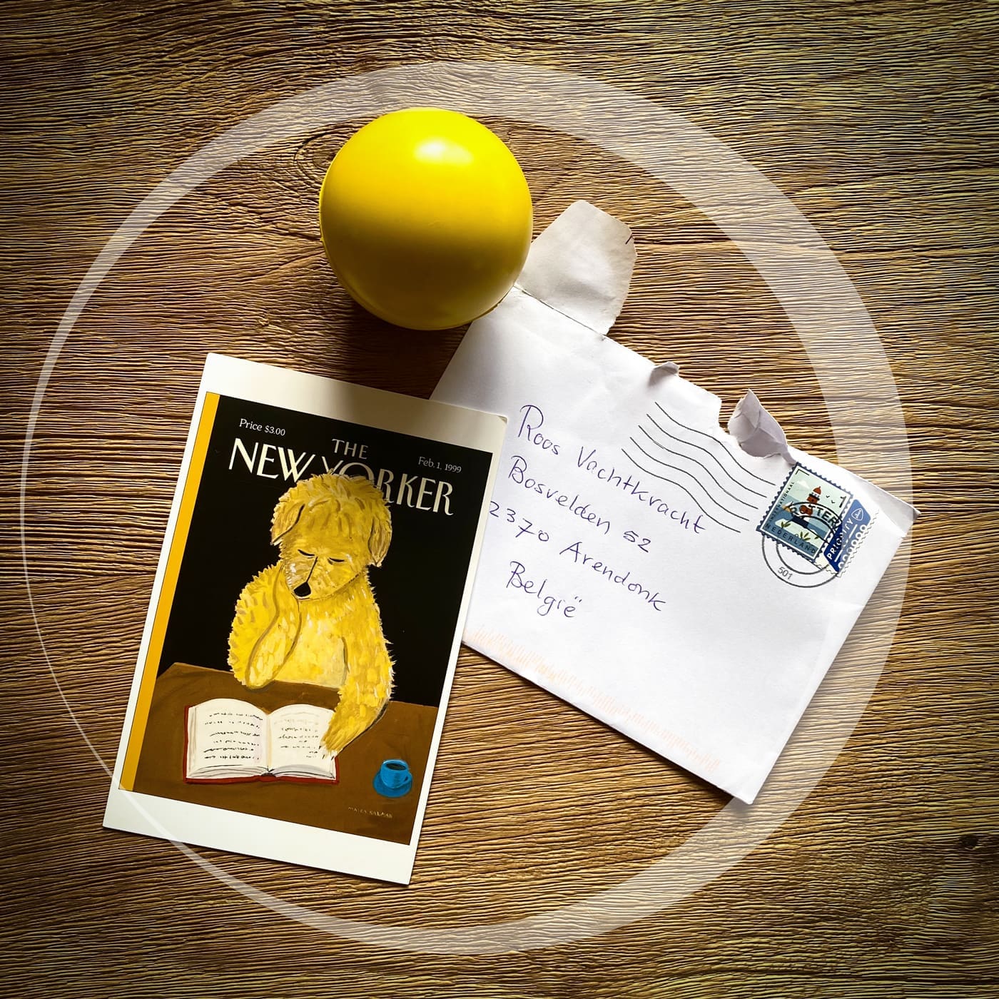 Featured image for “Kwispelpost”
