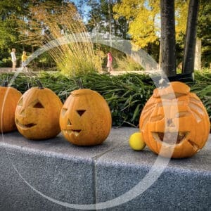 De gele bal tussen de pompoenen. Een klein moment van vrolijke afwijking, precies zoals we het graag zien bij Essentiedenkers.