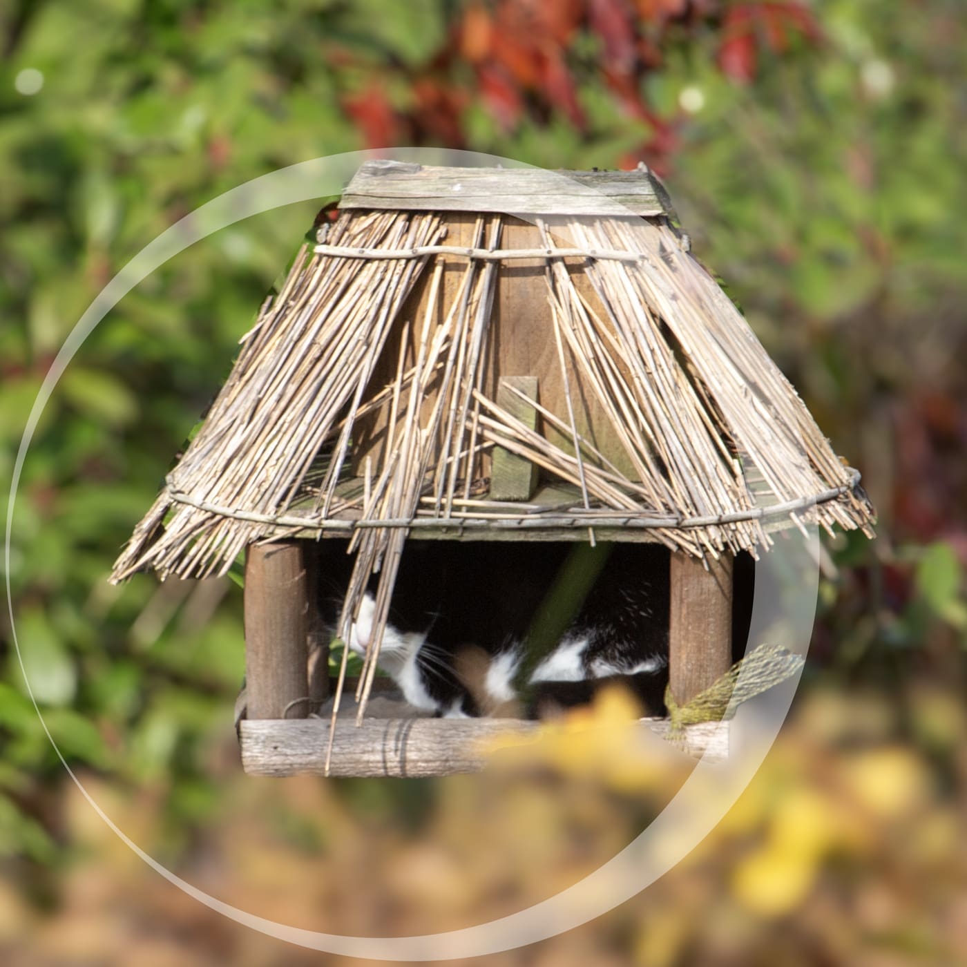 Featured image for “Anders kijken begint vaak met één onverwachte beweging”