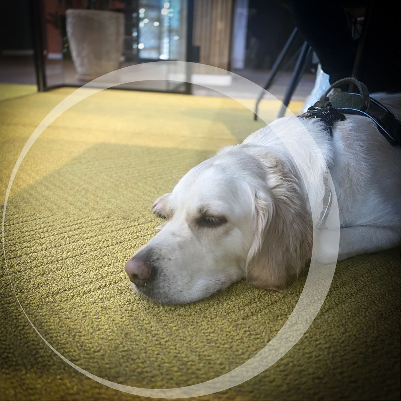 Featured image for “Brainstorm”