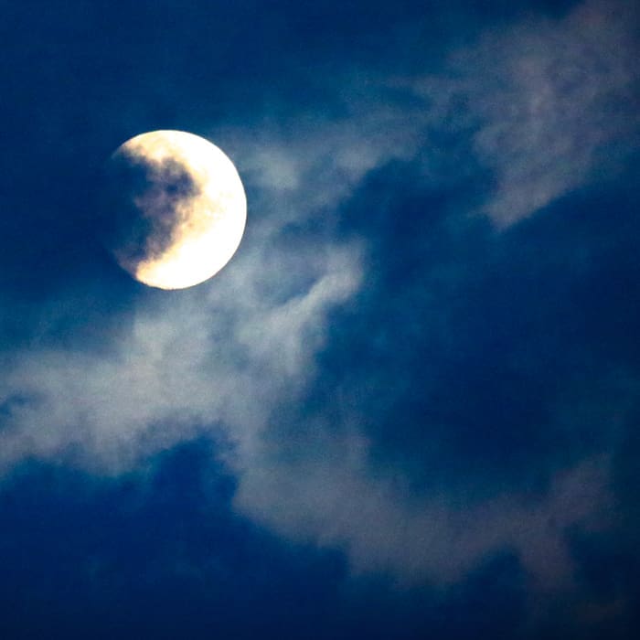 Featured image for “Blue monday of blauwe maandag”