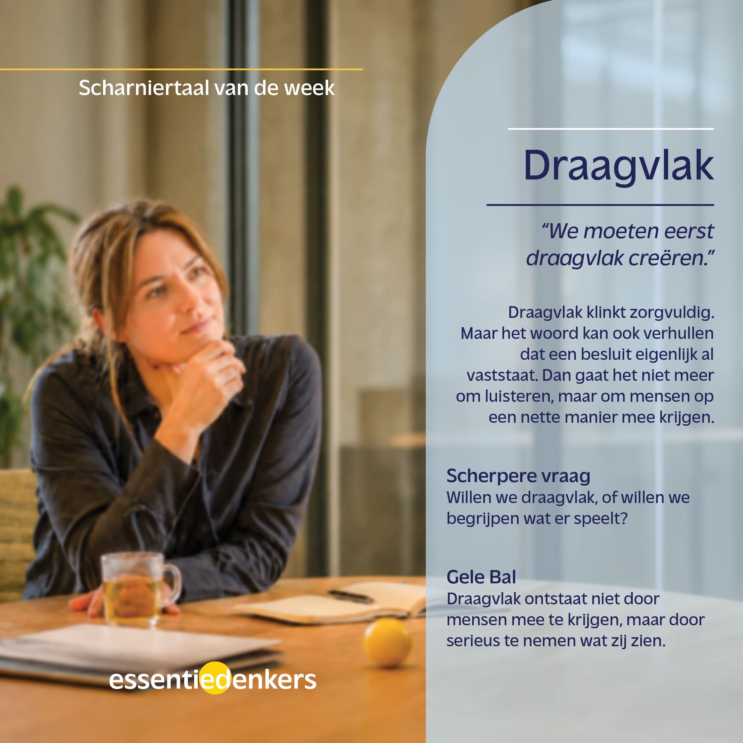 Featured image for “Draagvlak (scharniertaal)”
