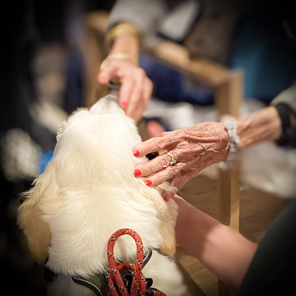Handen van ouderen raken Roos aan tijdens een warm moment van contact en aandacht