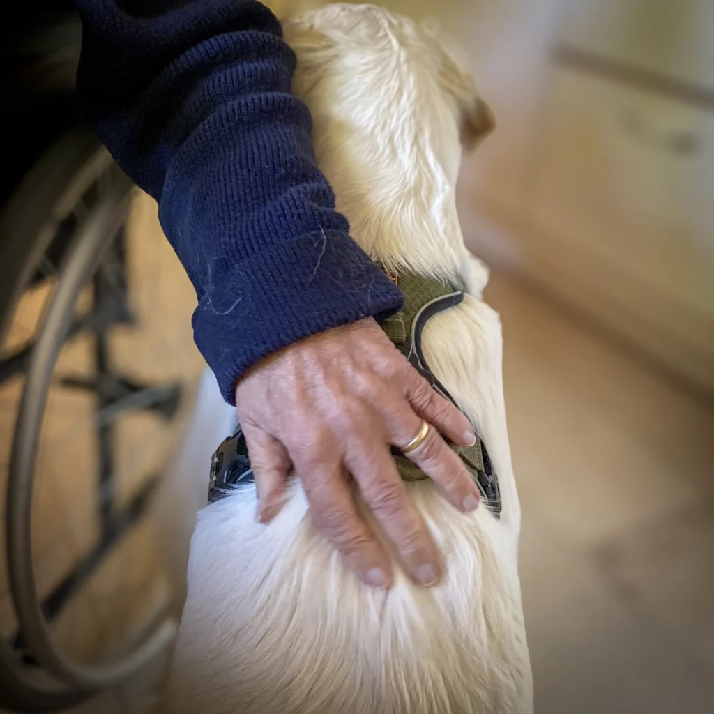 Handen van ouderen raken Roos aan tijdens een warm moment van contact en aandacht